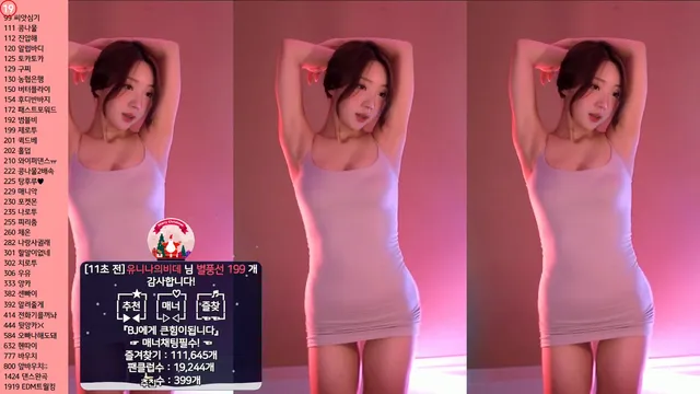 [Korean BJ] dlsgk1763 2024-06-07