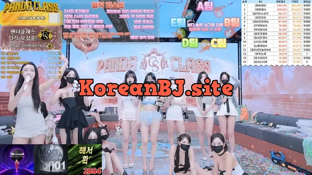 [Korean BJ] pandaclass 2024-12-14