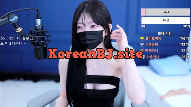[Korean BJ] anystar00 2024-05-04