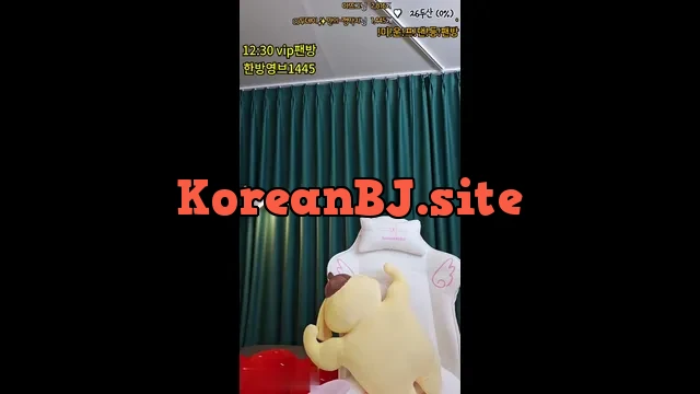 [Korean BJ] nemu00 2024-03-30