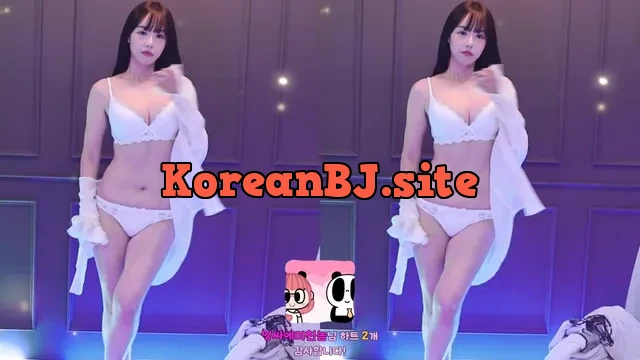 [Korean BJ] mini10062 2024-11-13