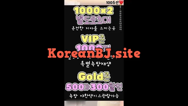 [Korean BJ] 1004162 2024-02-11