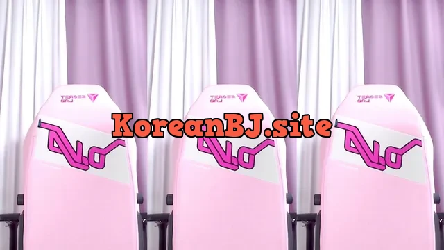 [Korean BJ] dmsdms1247 2024-12-21