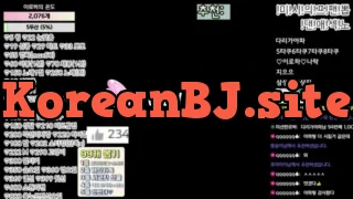 [Korean BJ] hfpw4i19 2025-01-24