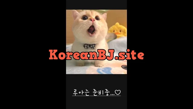 [Korean BJ] bboever2865 2025-02-09