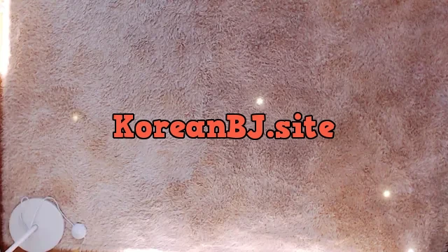 [Korean BJ] heenoo 2025-04-21
