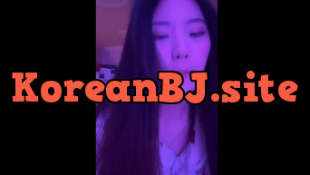 애옹야옹 07jyr0810