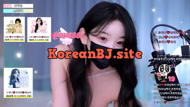 [Korean BJ] moem9e9 2025-05-17