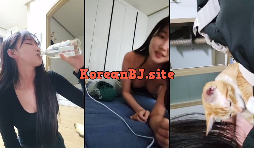 [Korean BJ] 햄이 – KA25091631 – koreanbj.club