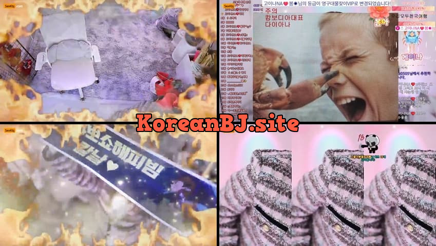 [Korean BJ] qkeksms3(BJ고이나NA) – KBJ25111621 – koreanbj.club