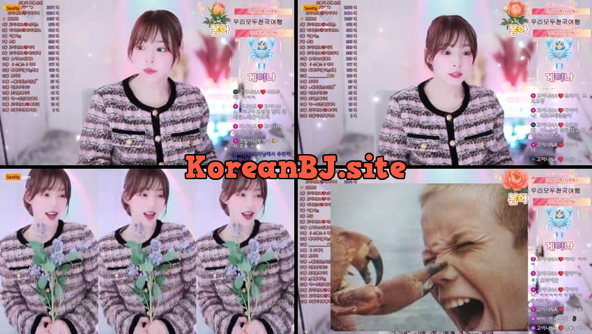 [Korean BJ] qkeksms3(BJ고이나NA) – KBJ25111620 – koreanbj.club