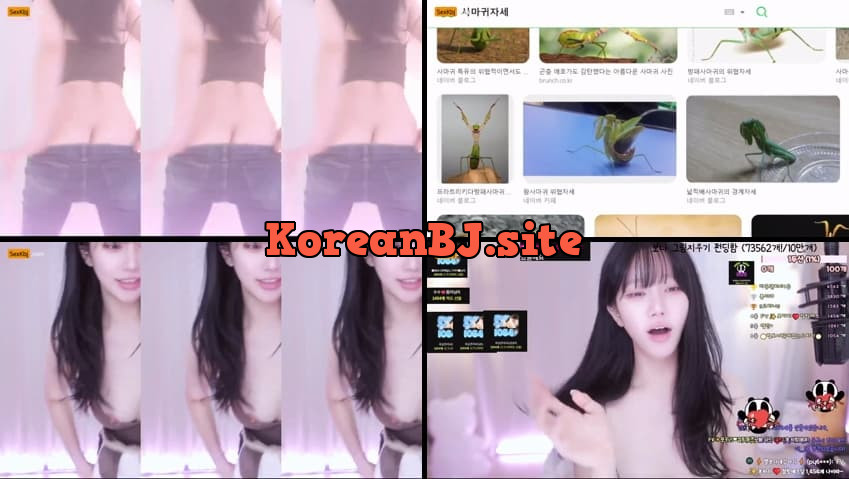 [Korean BJ] zmalqp6666(BJ별보나) – KBJ25112740 – koreanbj.club