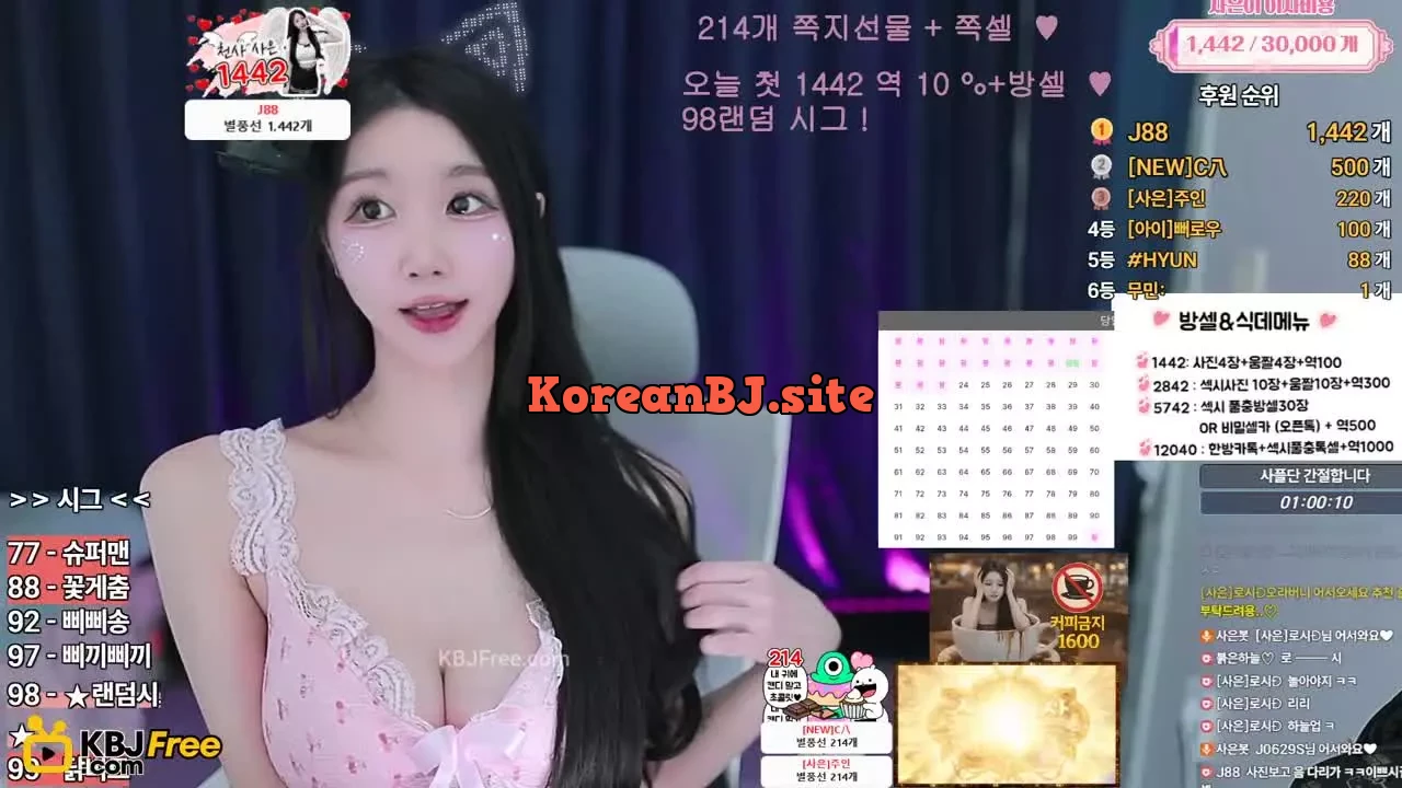 asdf123498_2026_02_13_21_28_45 – KoreanBJ.club