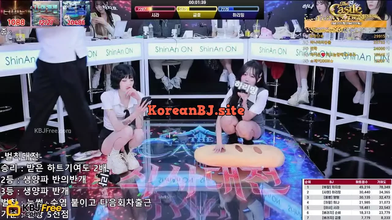 thecastle_2026_02_10_13_41_15 – KoreanBJ.club
