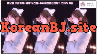[kbj] 212-nyangnyang1004_2026-02-08 | koreanbj.site