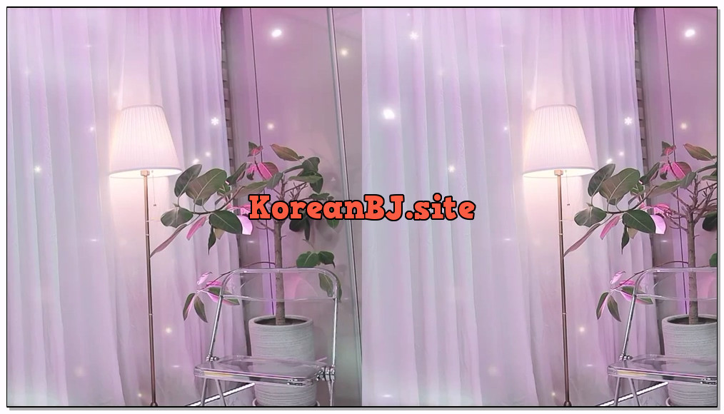 [kbj] 306-znvely00_2026-02-11 | koreanbj.site