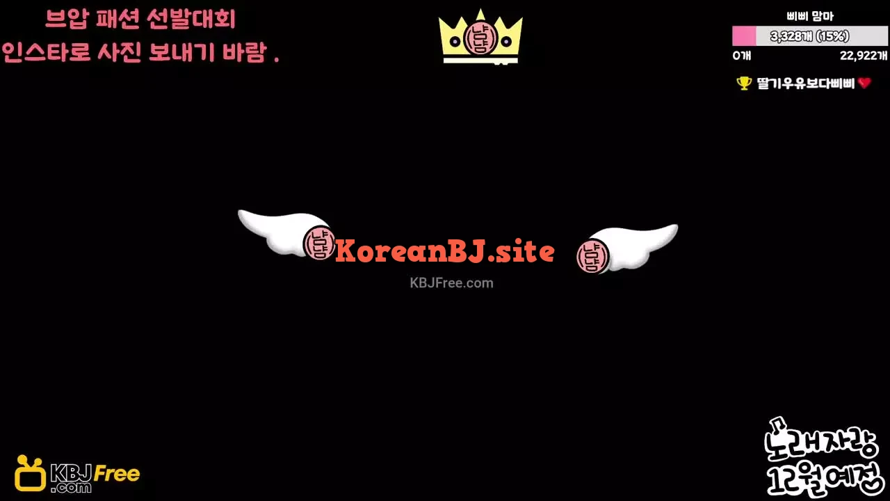 happybbi12_2025_11_28_12_53_36 – KoreanBJ.club