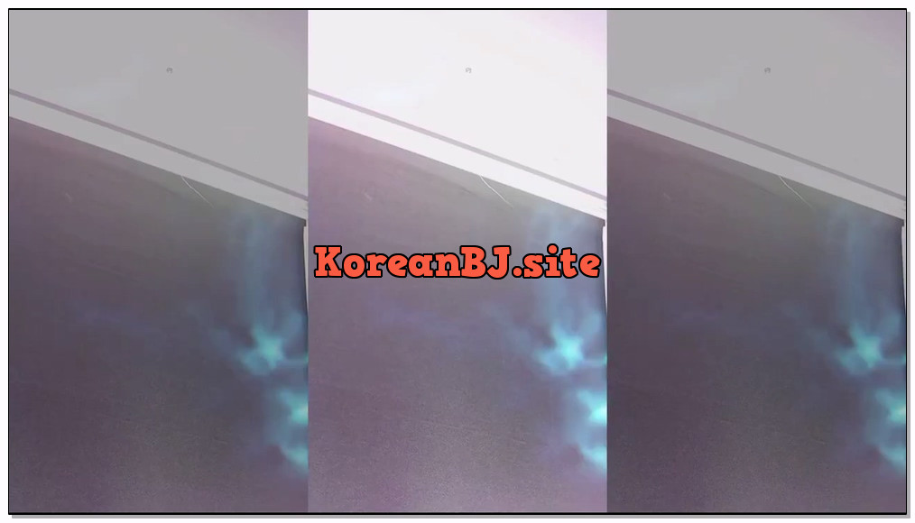 [kbj] 741-csp1208_2026-03-25 | koreanbj.site