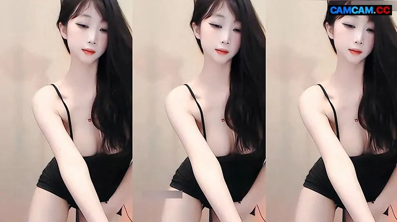 Chinese Cam – cnc20231272