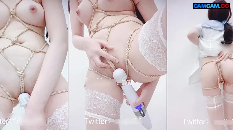Chinese Cam – cnc20242182