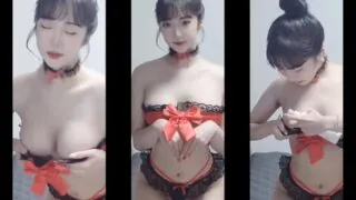 퓨리 2500