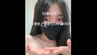 초아해 likecho