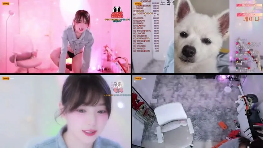 [Korean BJ] qkeksms3 – KBJ25100738 – koreanbj.club