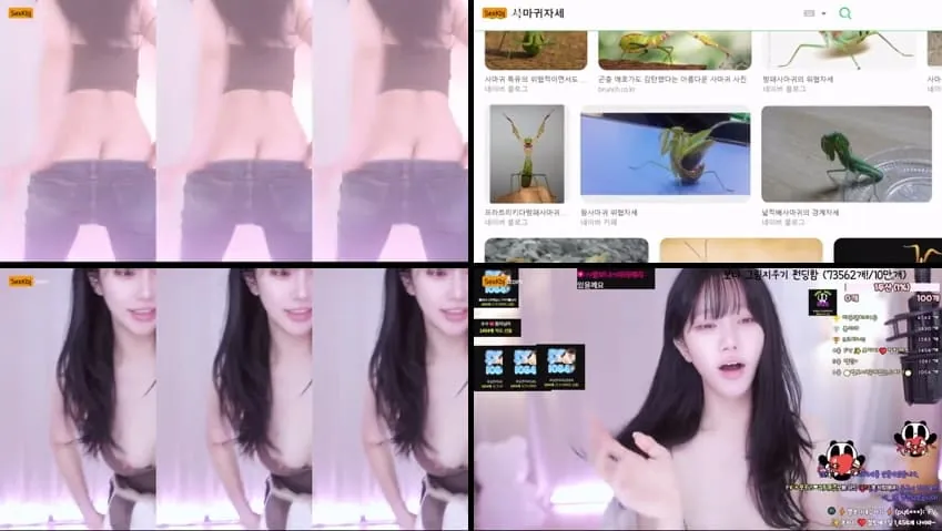 [Korean BJ] zmalqp6666(BJ별보나) – KBJ25112740 – koreanbj.club