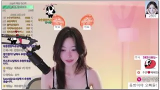 [kbj] 429-juyeon0909_2026-02-15 | koreanbj.site